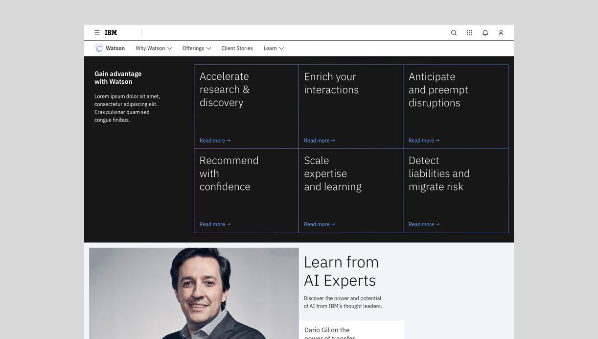 A view of the Watson website.