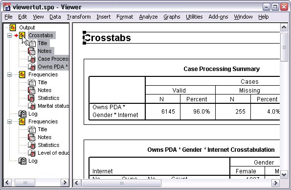 The Crosstabs output is now the first output displayed in the Viewer.