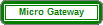 Micro Gateway icon