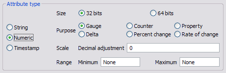 Attribute type section with Numeric type selected and options for size, purpose, scale, and range