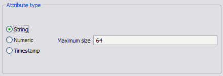 Attribute type section with String type selected and a field for entering the maximum size