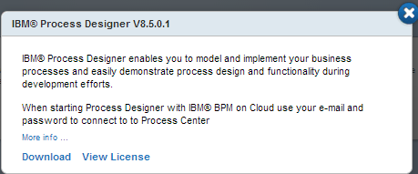 The IBM Process Designer download window