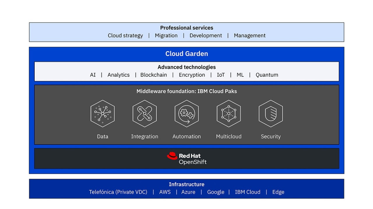 Grafische Tabelle der professionellen Dienstleistungen mit Aufschlüsselung der Technologien