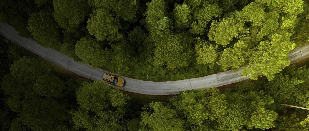 Luftaufnahme des Autofahrens auf einer Straße mit Bäumen auf beiden Seiten