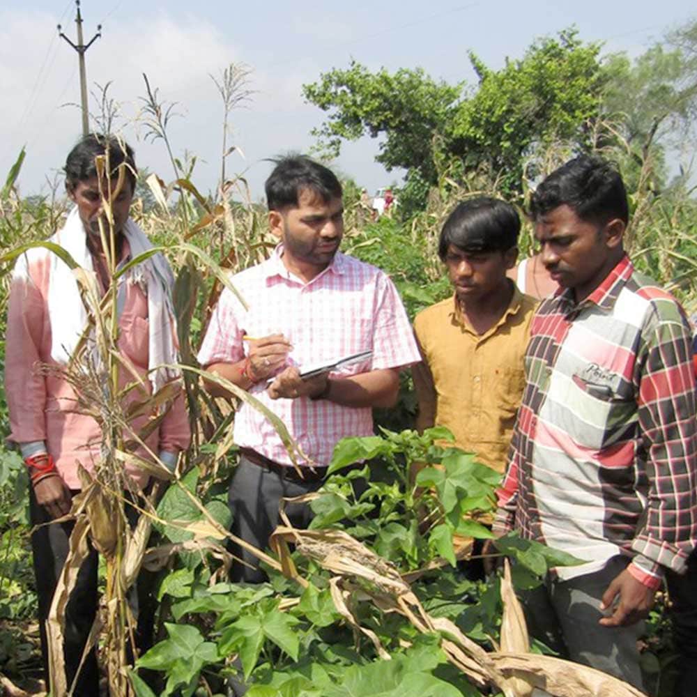 Indian farmers in the field