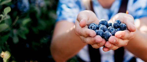 Woman holding blueberries with her hands
