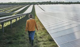 Young female farmer walking away from camera, between solar panels on her solar farm