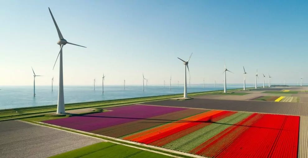 Wind turbines in a colorful field