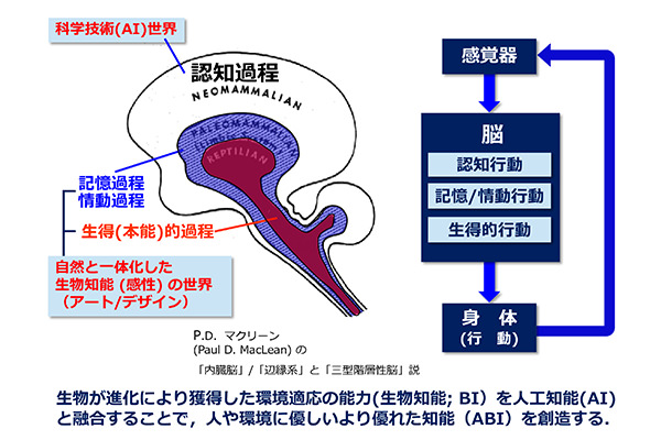 生物の脳の基本的な構造図 資料提供：神崎亮平所長