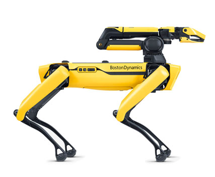 Bild von Spot, einem gelben Roboter, der einem Hund ähnelt