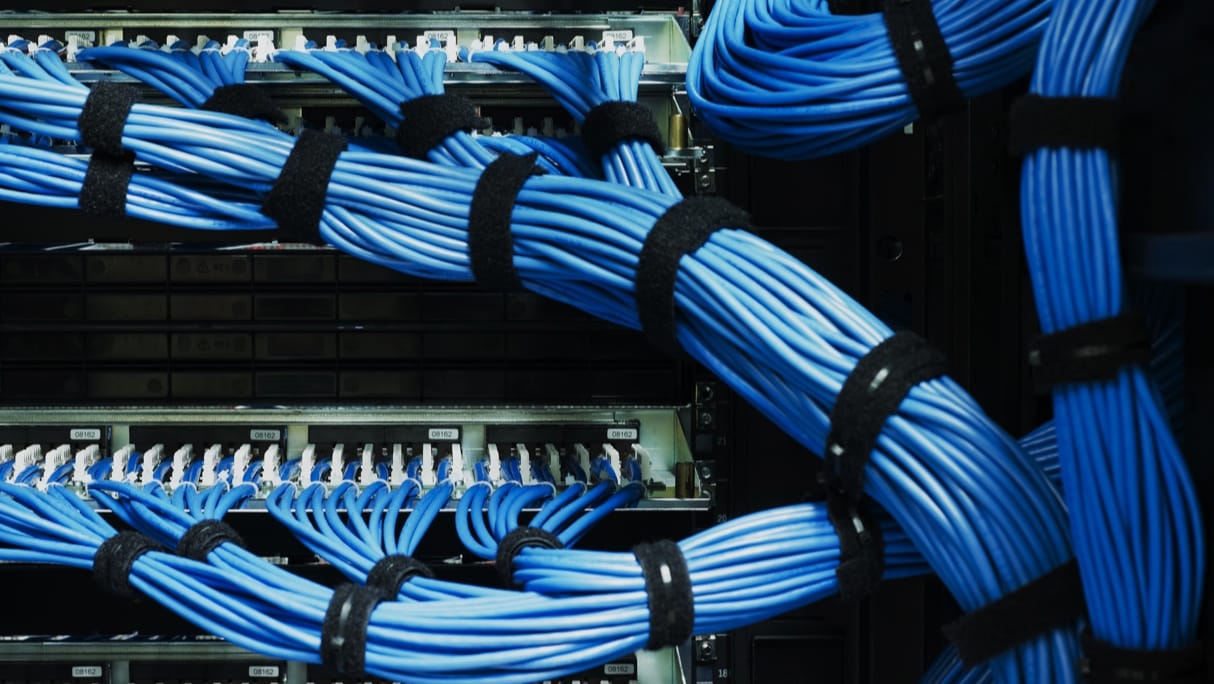 Closeup of blue cords connected to servers in a server rack