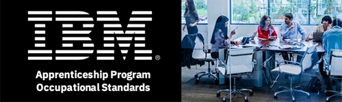 Application Developer on IBM zSystems learning path and competency model