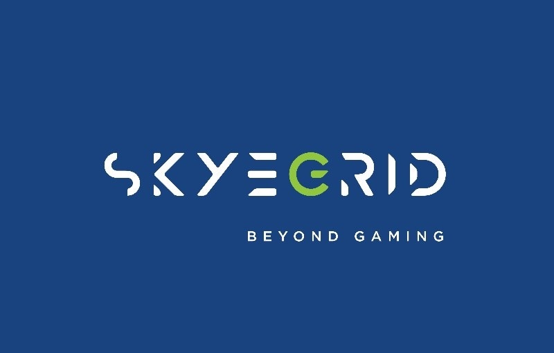 Logotipo da Skyegrid