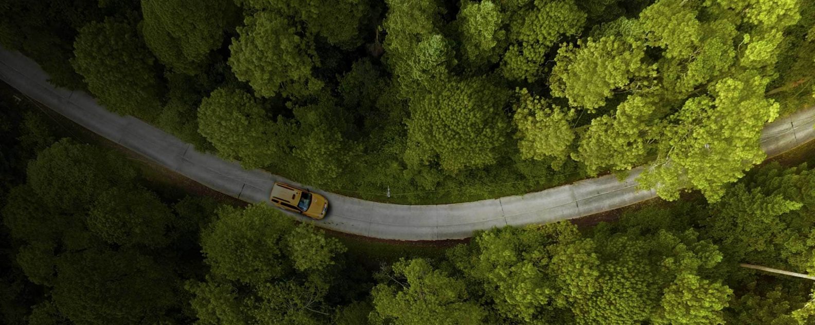 汽车在两侧树木丛生的道路上行驶的鸟瞰图