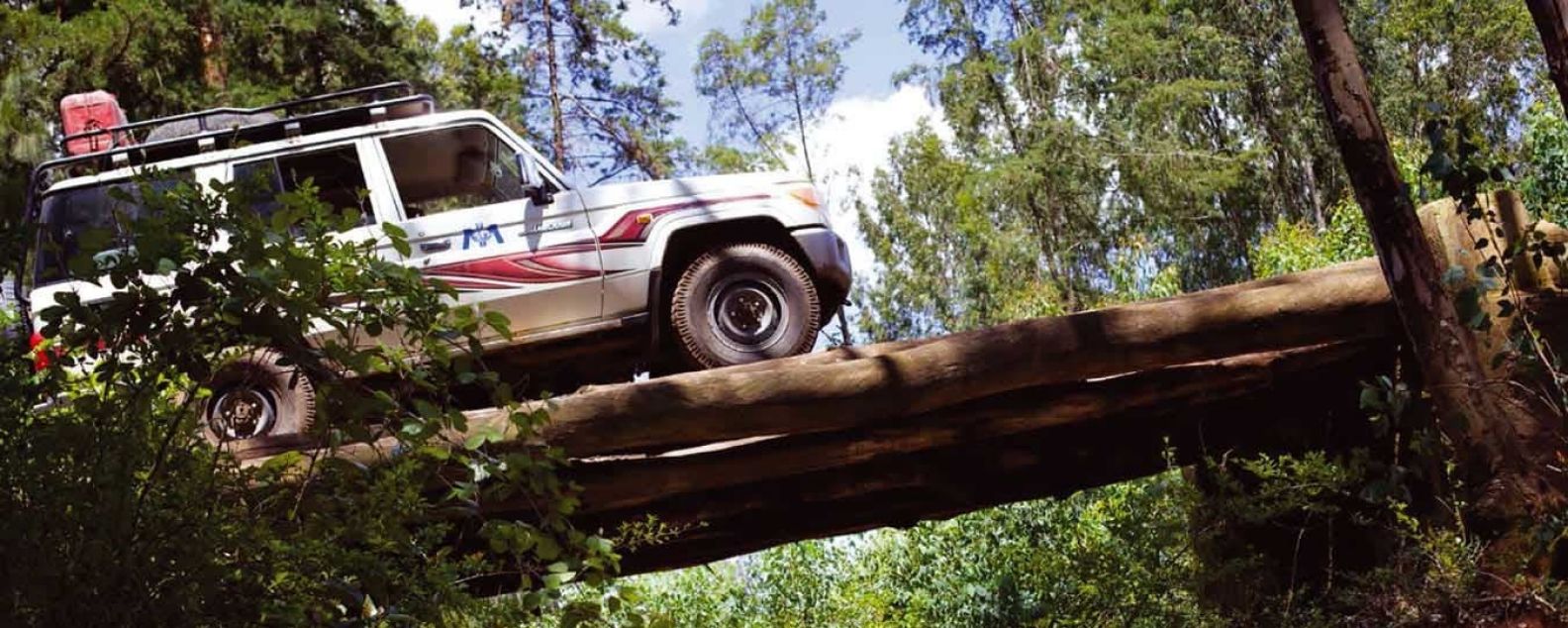 SUV da empresa atravessando uma ponte de madeira com galhos de árvores