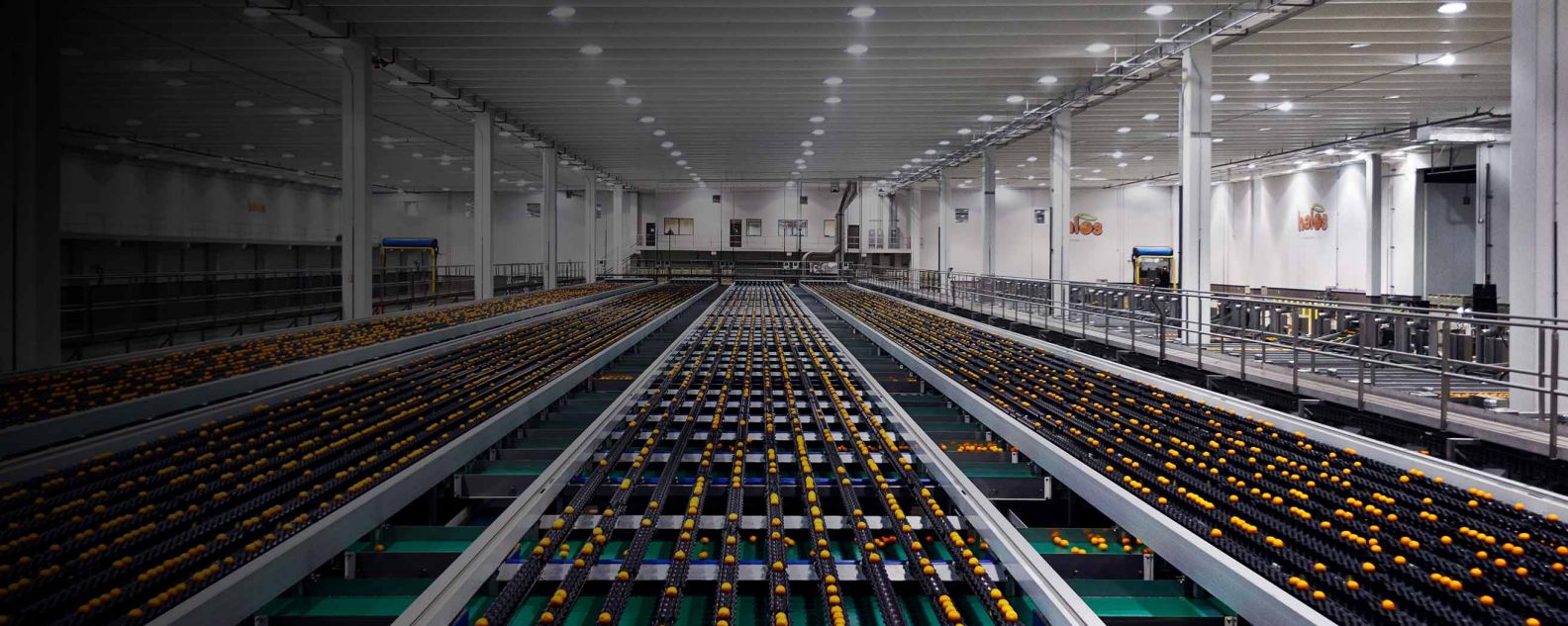 an orange fruit processing warehouse