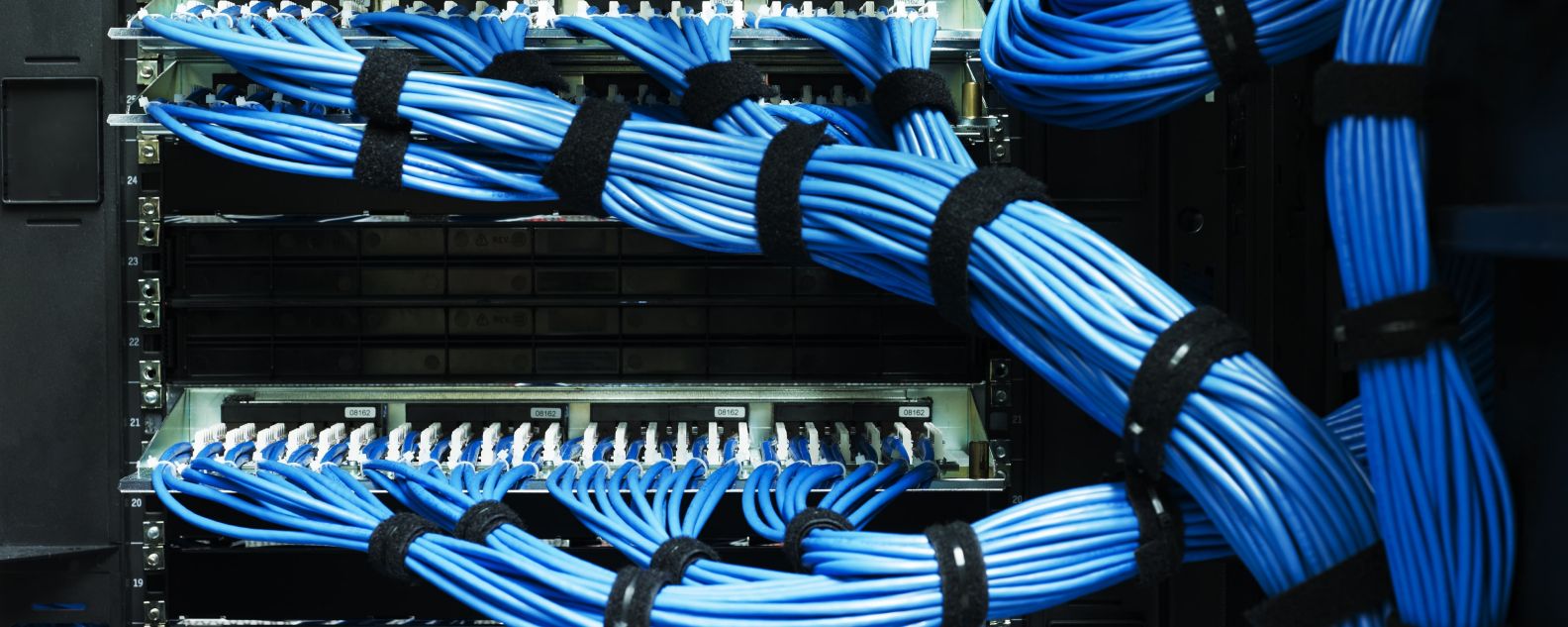 Cables dentro de un servidor