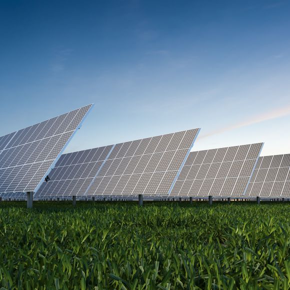 Un conjunto de paneles solares en un campo verde