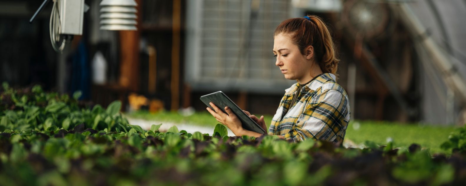 Agricultora que utiliza una tableta digital en un invernadero