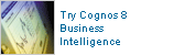 Try Cognos 8 Business Intelligence