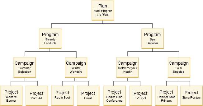 Plan Program Campaign Project