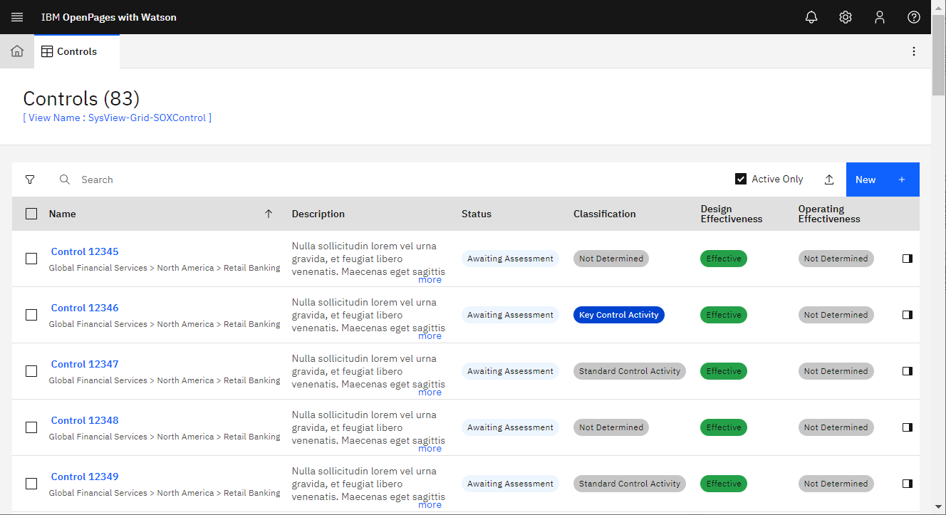 List of risk objects displayed in a grid with Description, Status, Classification