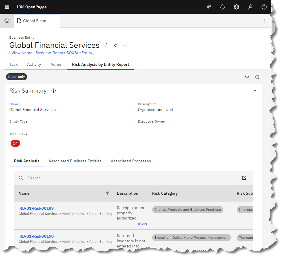 A Business Entity open in a Report View.