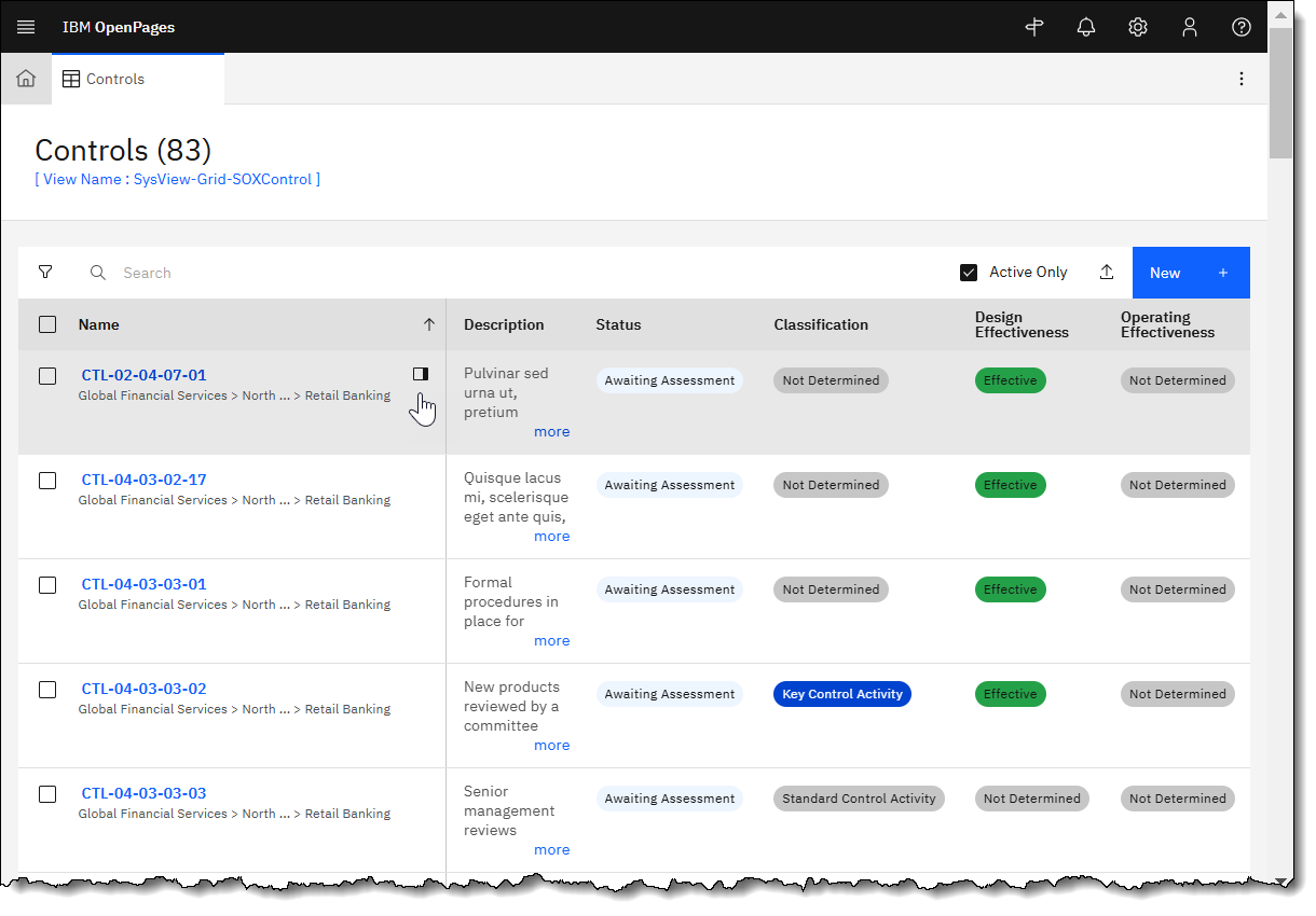 List of risk objects displayed in a grid with Description, Status, Classification
