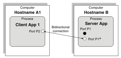 Diagram showing the connection between the client and server applications.