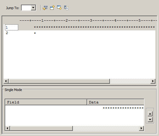 The character page displays the information from records of a data set in an alphanumeric format.