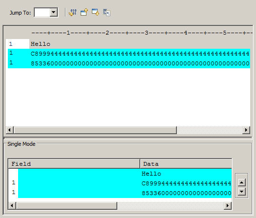 Hex format displays the hex values of records in a data set.