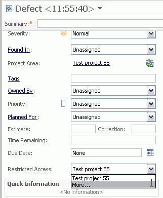 Screen capture of Restricted Access field on Overview tab of work item editor.