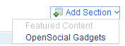 Add Section drop-down menu