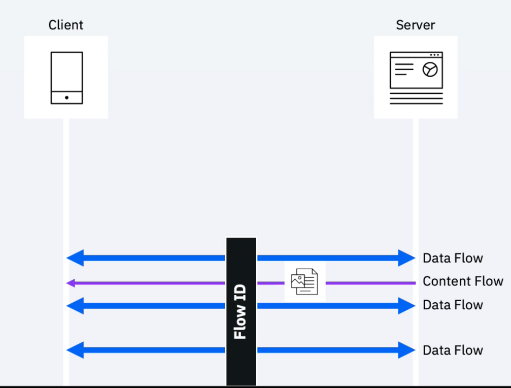Die Abbildung zeigt die bidirektionale Kommunikation zwischen einem Client und einem Server, dargestellt als eine Reihe von Datenflüssen. Der extrahierte Inhalt wird als Inhaltsfluss dargestellt. Sowohl Datenflüsse als auch Inhaltsdatenflüsse werden über die Eigenschaft 'Datenfluss-ID' verknüpft.