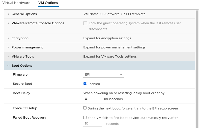 Screen shot of the VMware boot option menu.