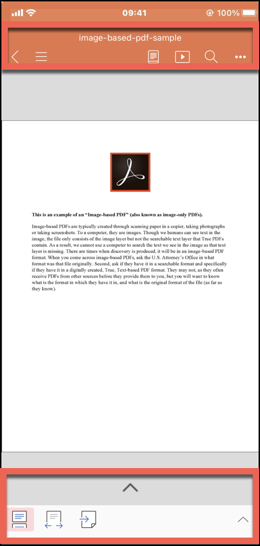 PDF options on iPhone