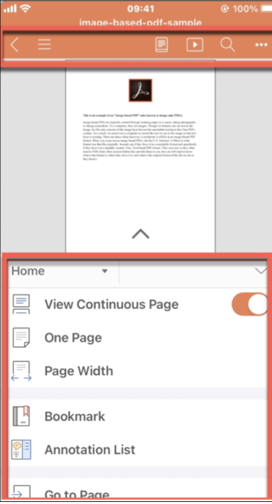 PDF options on iPhone
