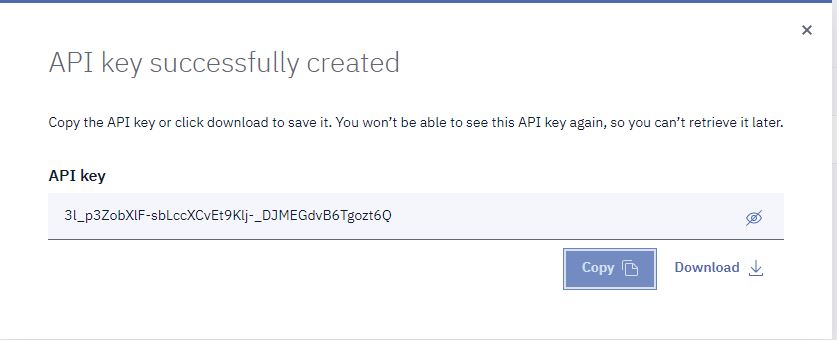 Copy and Save API key