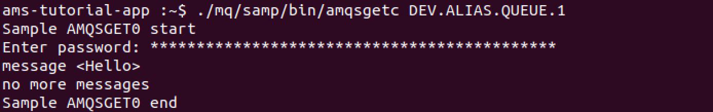 Shows the example output