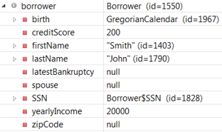 Image shows the borrower variables.