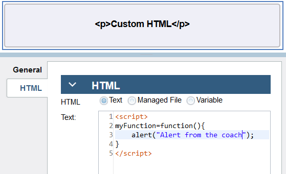 Example of custom JavaScript function added to a page.