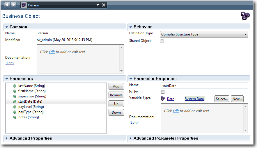 This image shows the Person Business Object window.