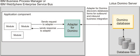 The image is described in the surrounding text.