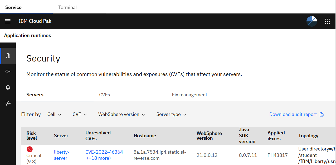 Example Security page with information about the registered Liberty server
