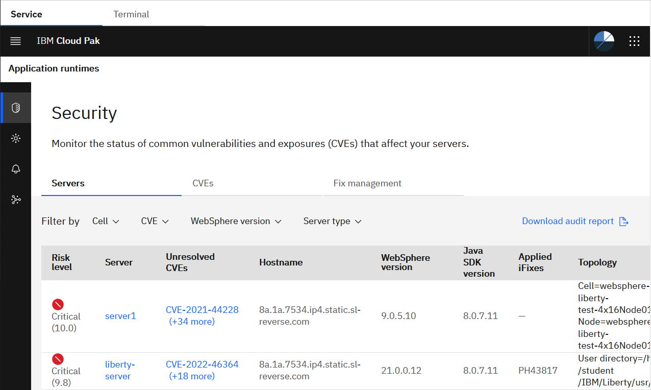 Example Security page with information about the registered WebSphere Application Server traditional server