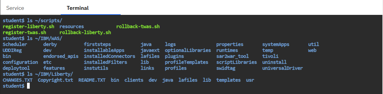 Example terminal window showing the listing of scripts
