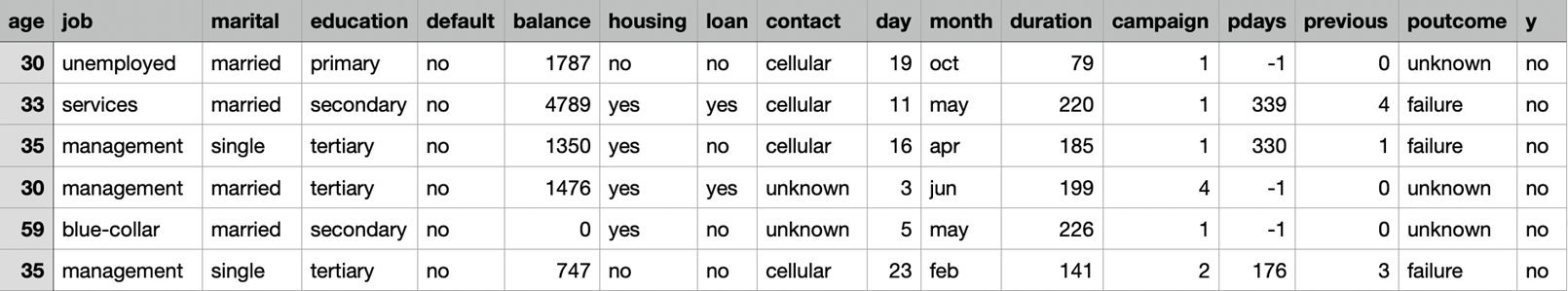 Spreadsheet of the Bank marketing data set Spreadsheet of the Bank marketing data set