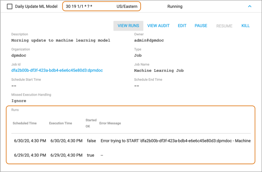 View Runs listing each attempt to run the task
