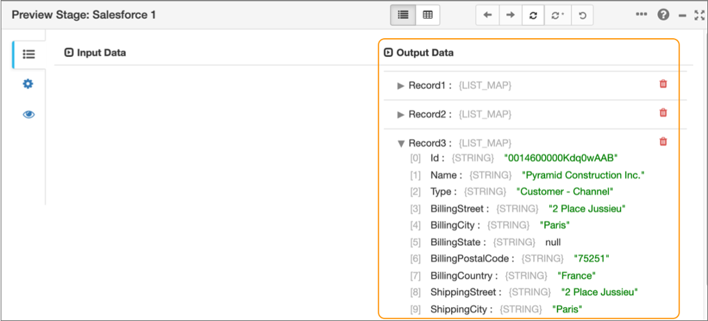Output Data page showing several records of Salesforce data